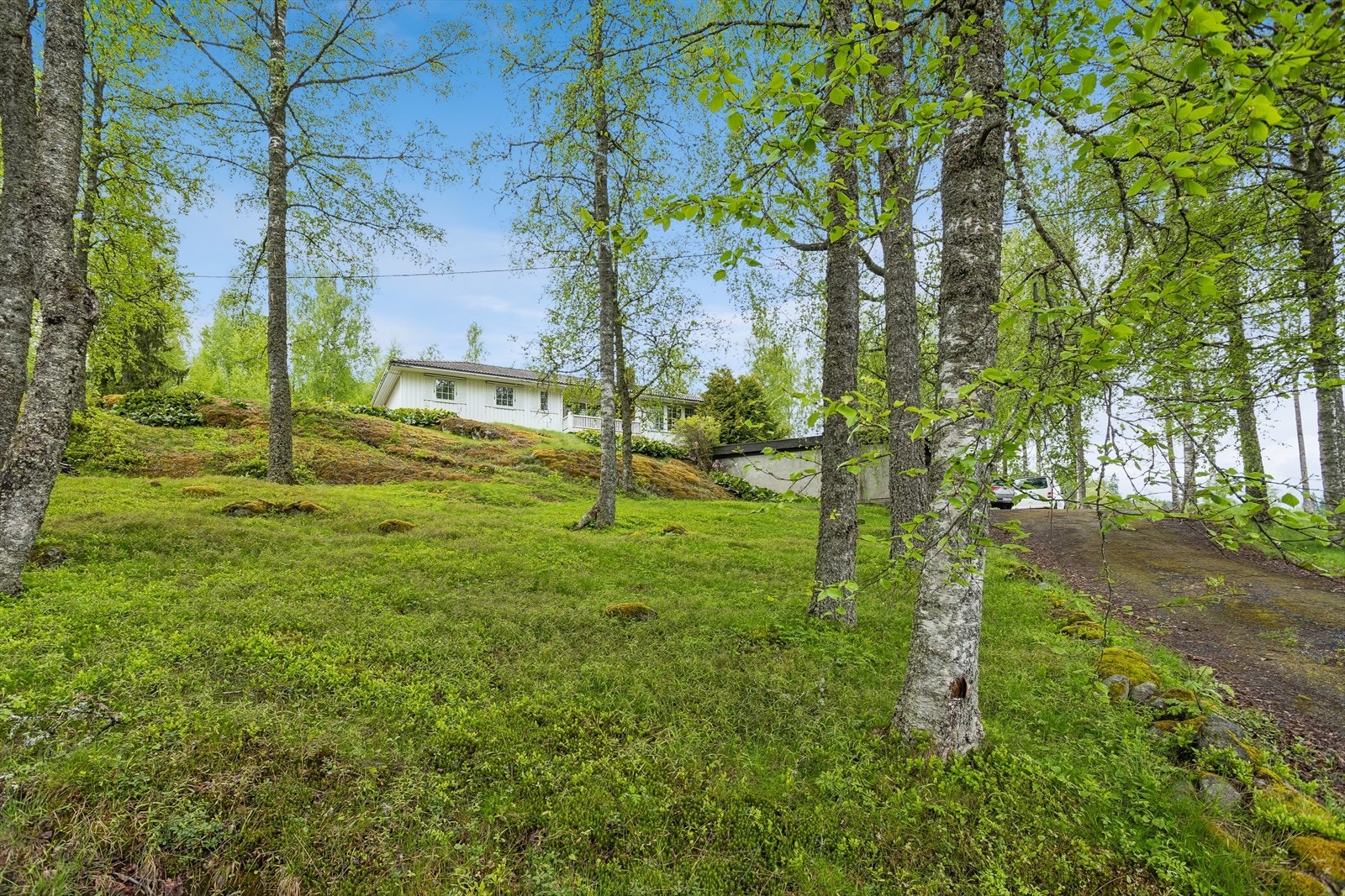 Stor tomt rundt boligen. Galleribilde