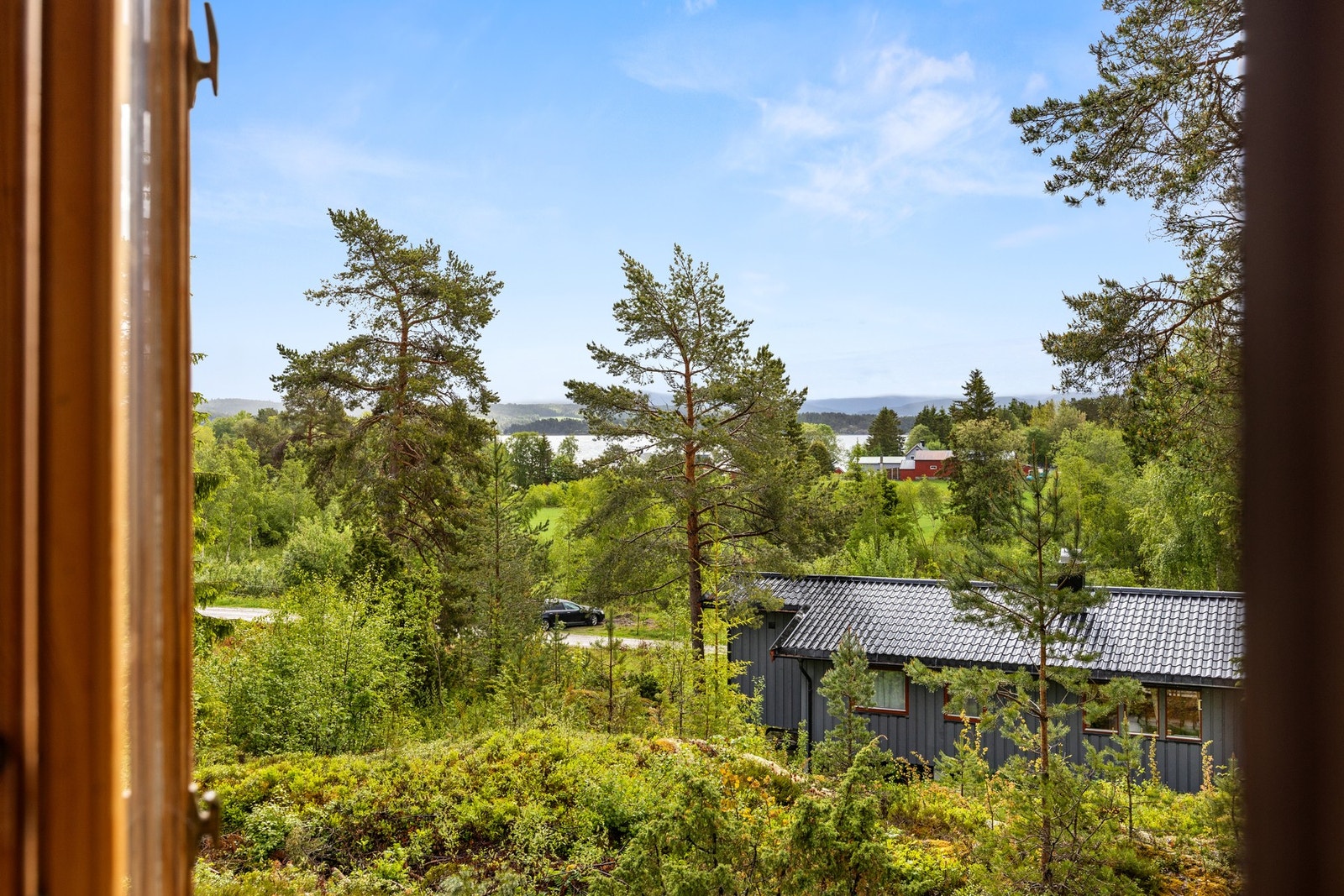 Utsikt Galleribilde