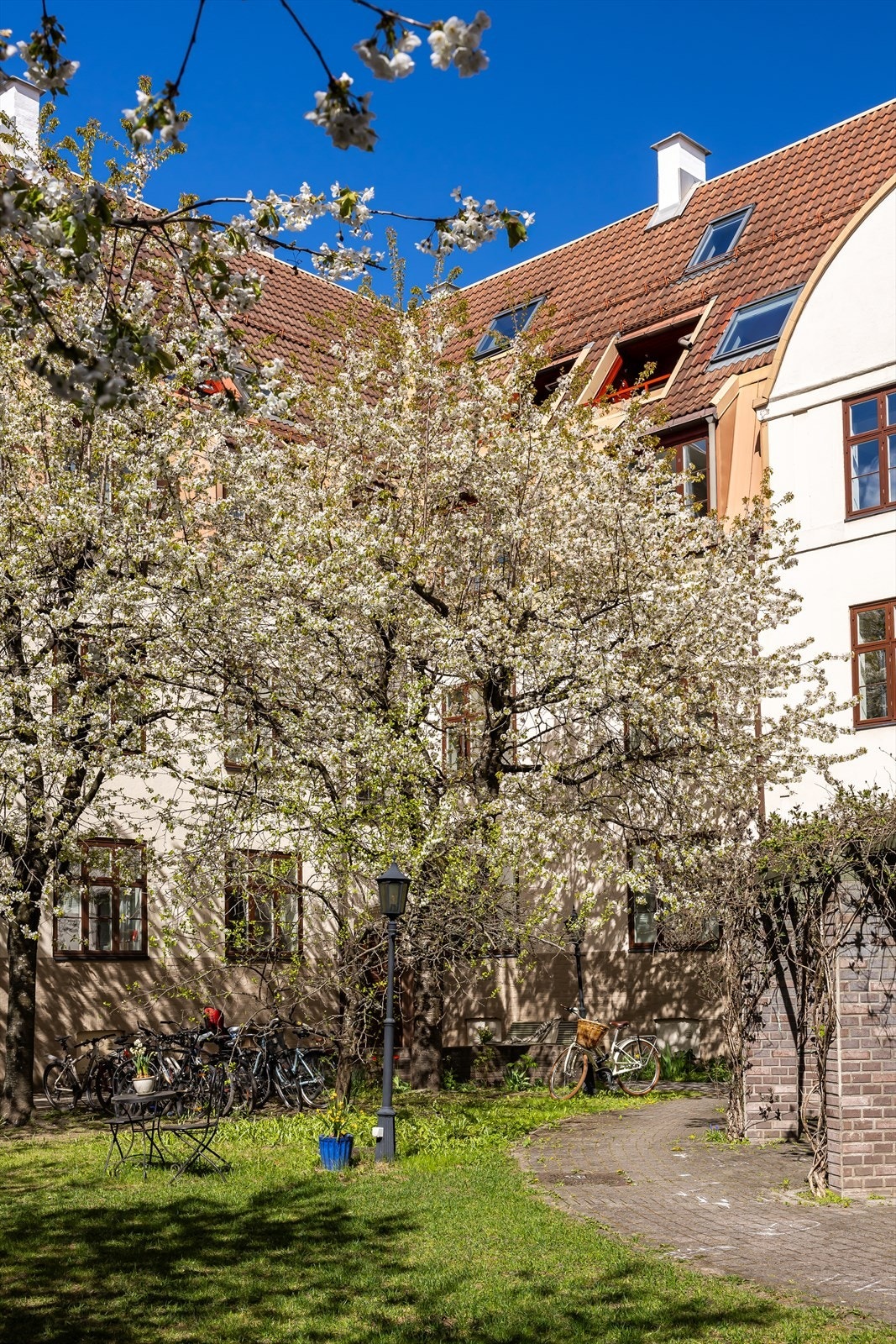 Bjølsen er et drømmeområde for barnefamilier - med samhold, mangfold og fantastiske Bjølsen skole. Galleribilde