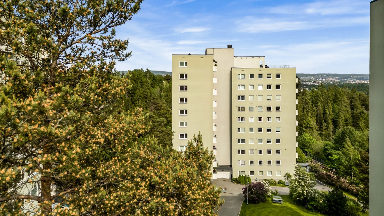 Velkommen til Silurveien 44! Foto - Bjørnar Solberg Galleribilde