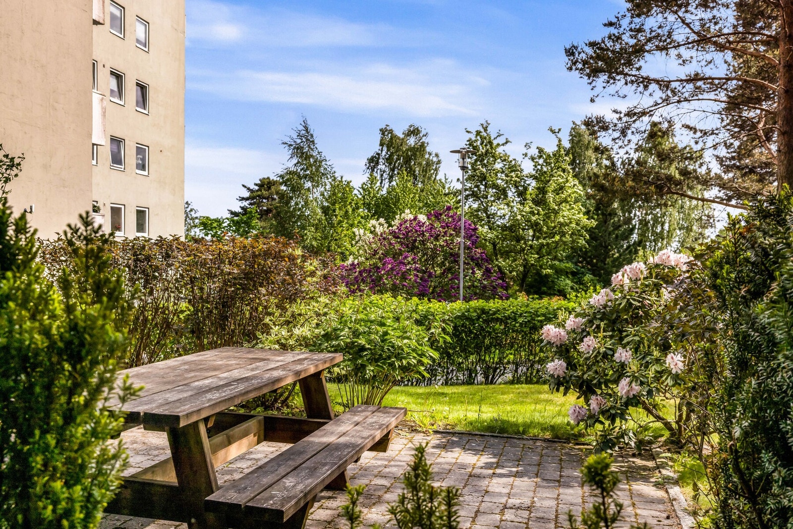 Hyggelig fellesareal på felles tomt med beplantning. Galleribilde