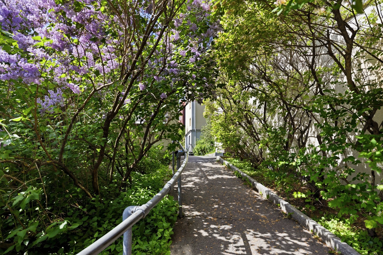 Fellesområde Galleribilde