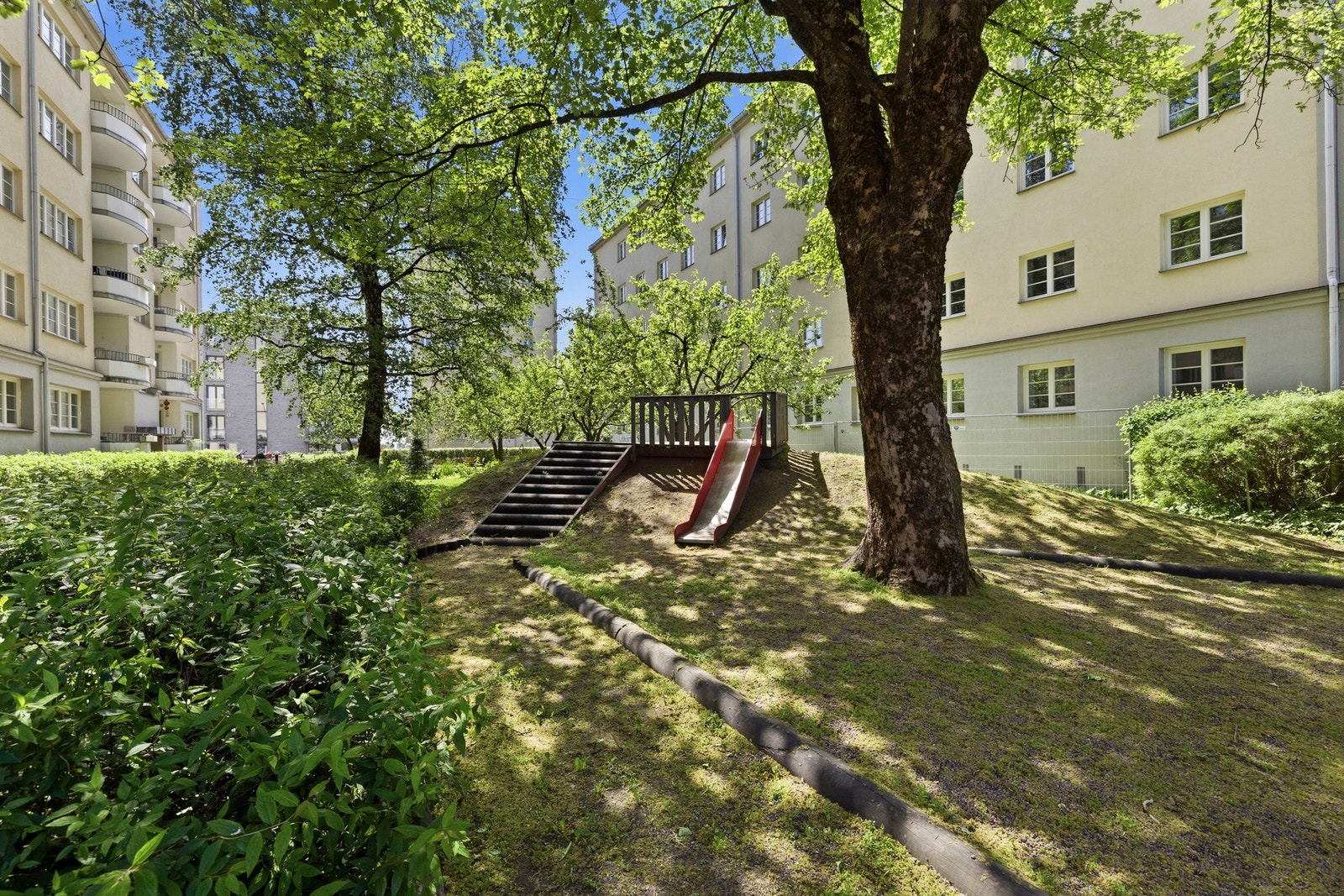 Grønt og frodig Galleribilde