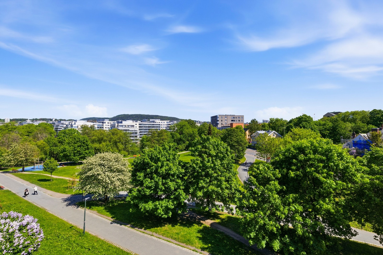 Utsikt Galleribilde
