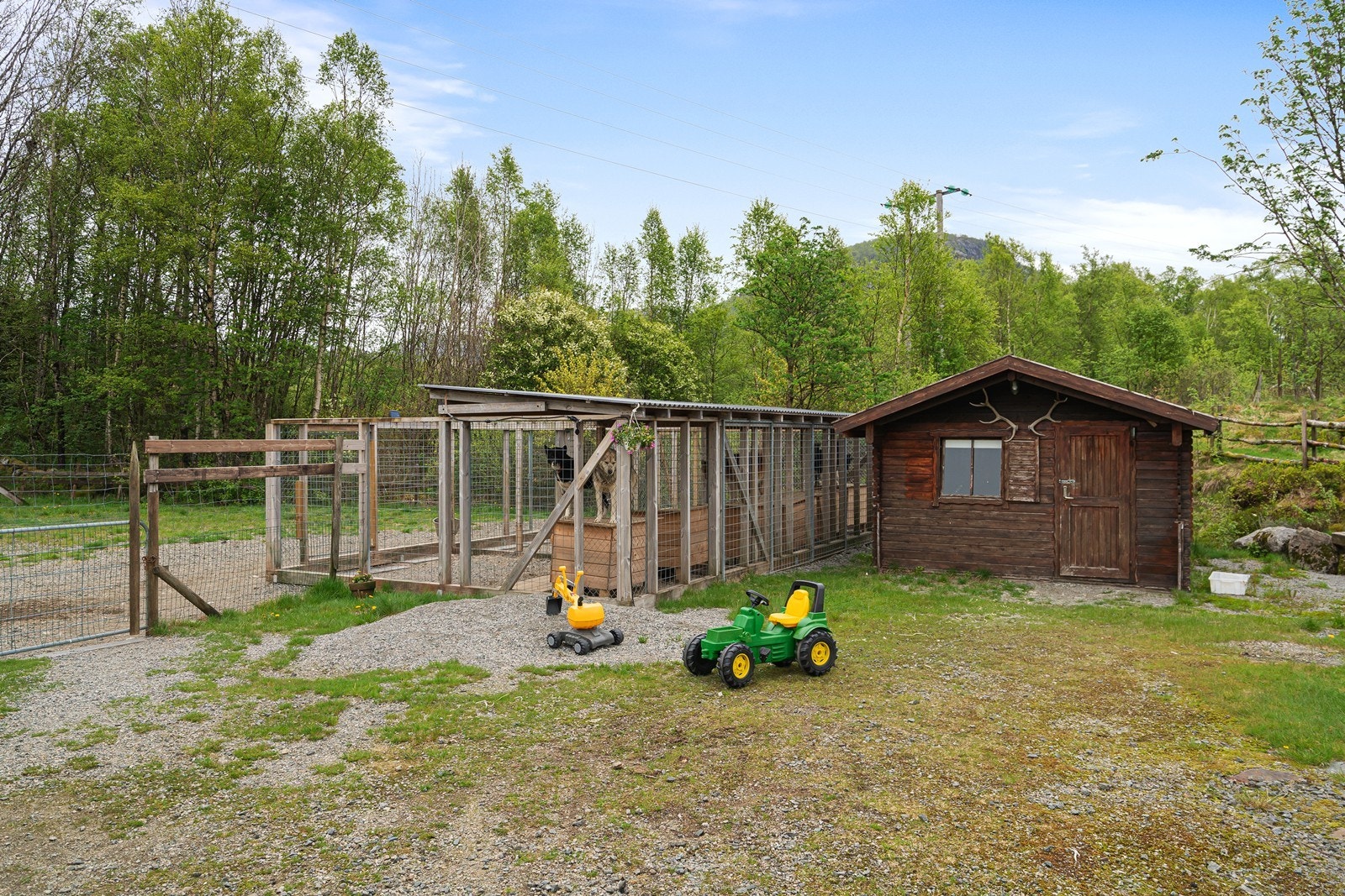 Praktisk bod i bakkant av hundegårder. Galleribilde