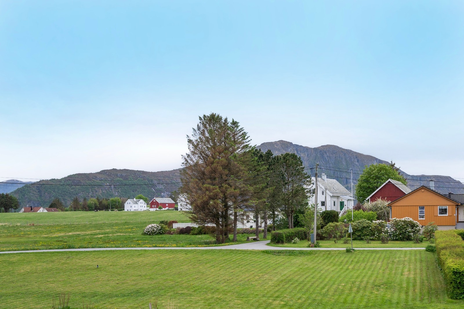 Landlig og frodig utsikt! Galleribilde