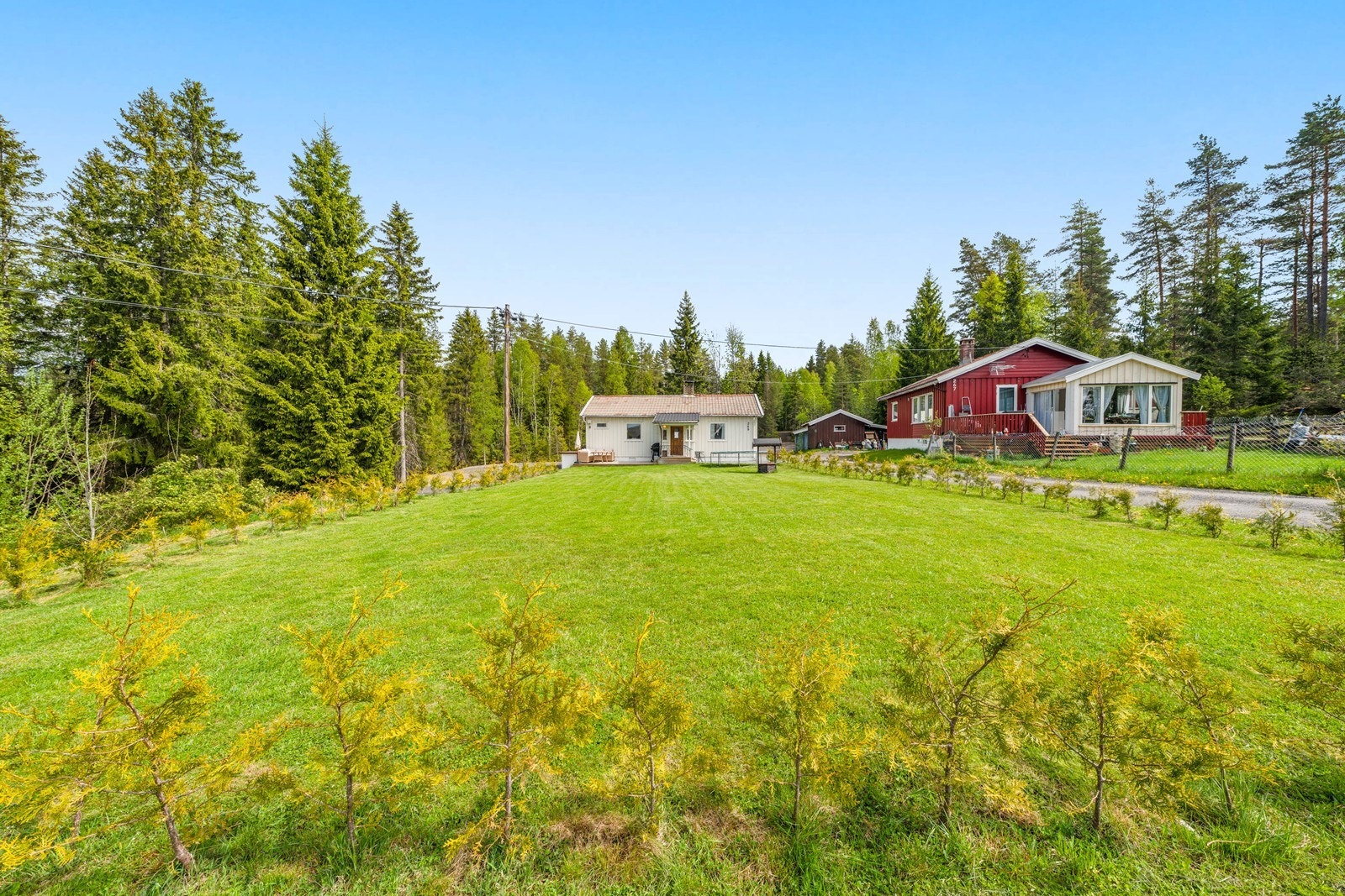 Flat og fin tomt Galleribilde