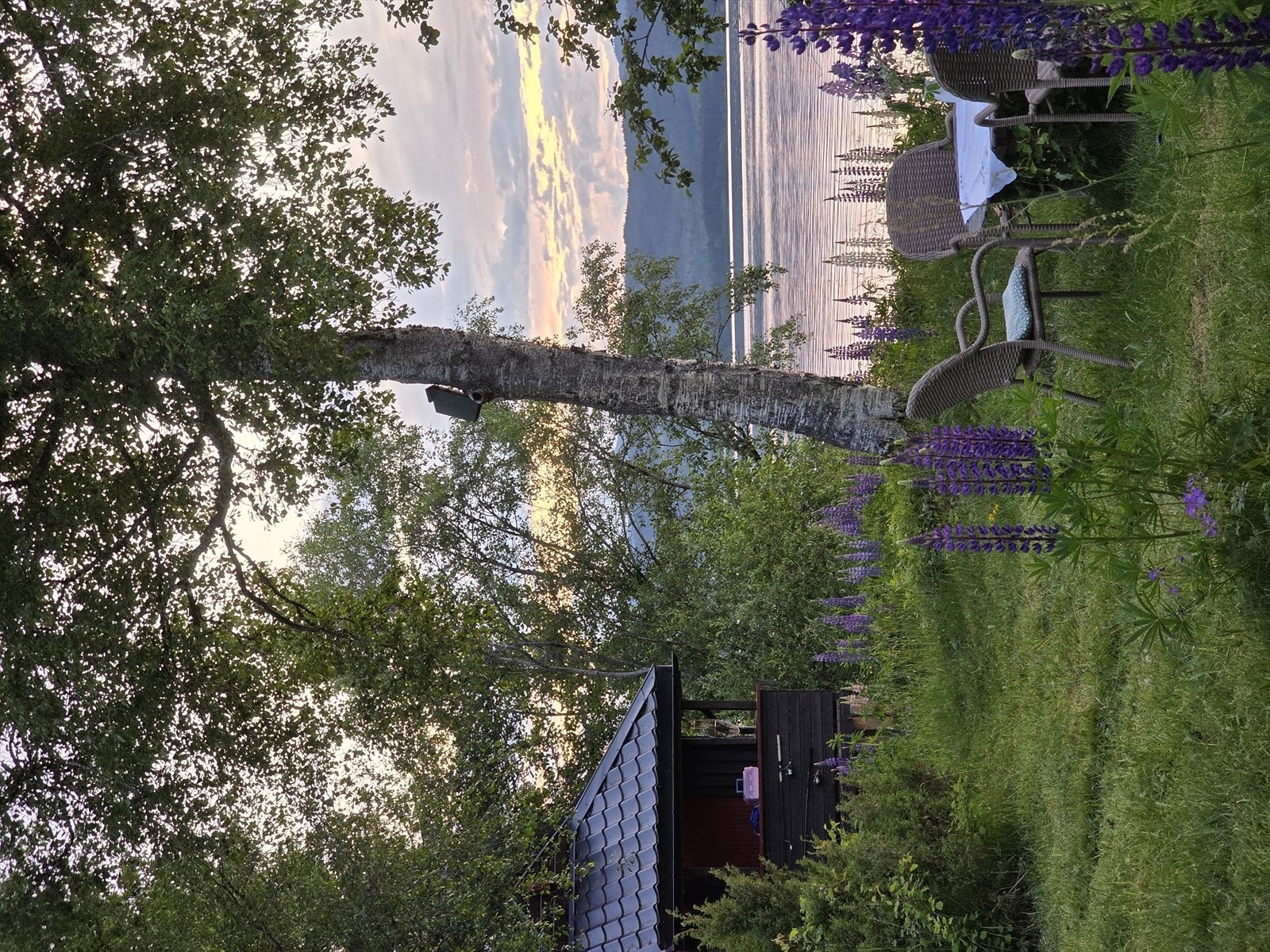 20250626_232250.jpg Galleribilde
