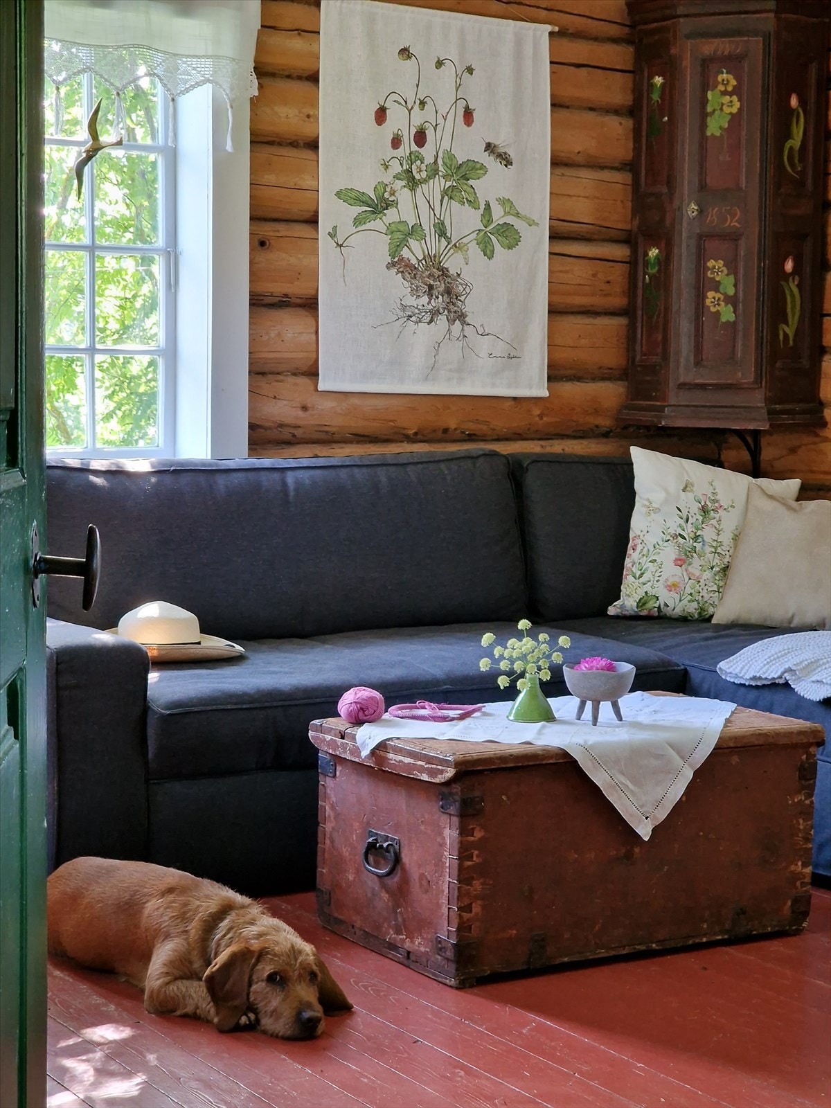 20230711_102903.jpg Galleribilde