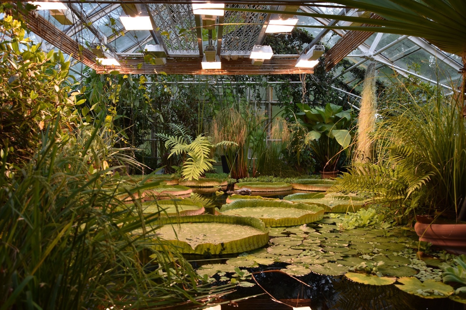 Av frodige parkområder i nærheten anbefales Botanisk hage, en idyllisk park med et rikt planteliv. Galleribilde