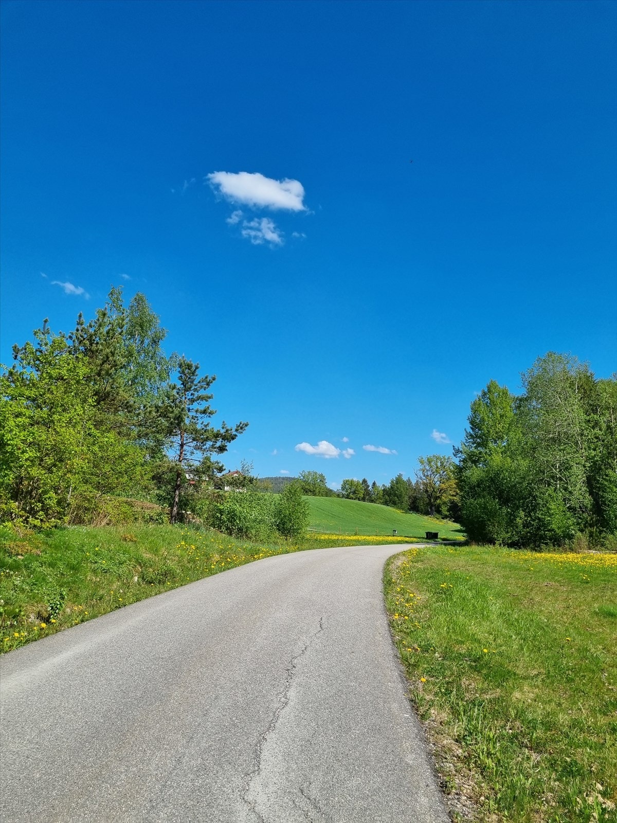 Parti fra Valebø. Foto: selger Galleribilde