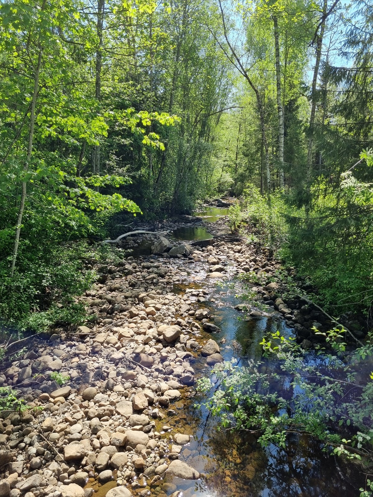Skog og mark med turmuligheter rett utenfor døren. Foto: selger Galleribilde