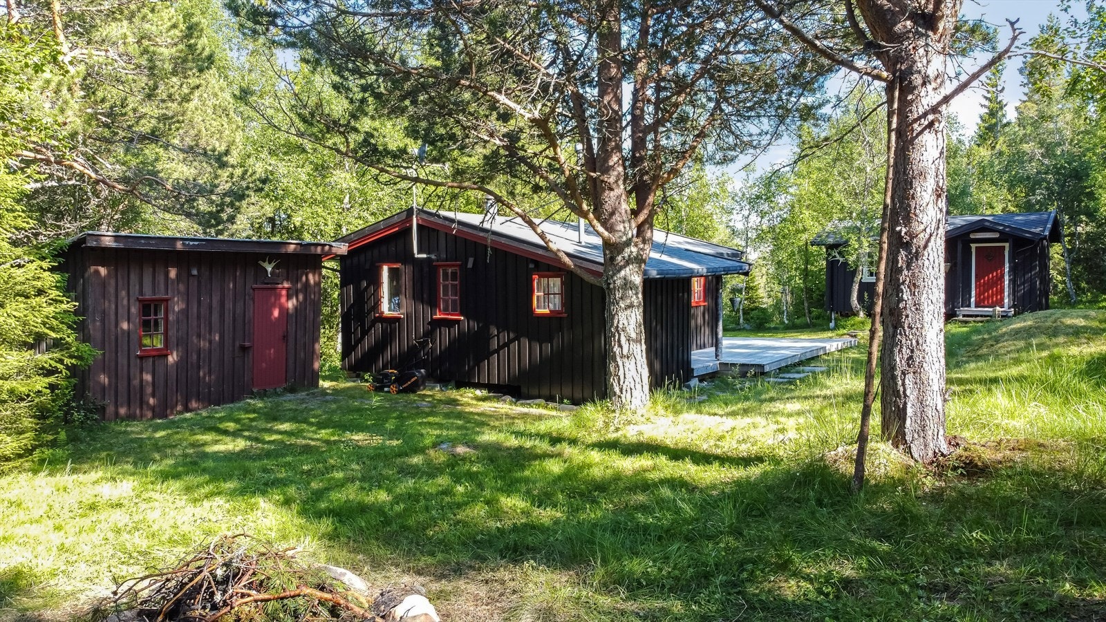 Velkommen til trivelig visning! Galleribilde