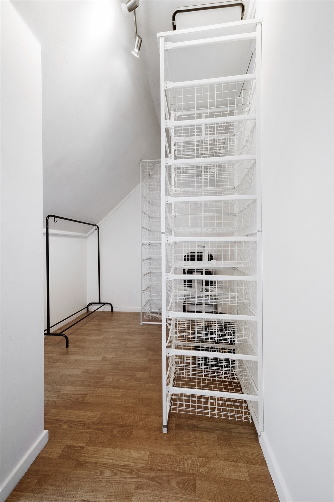 Kott Galleribilde