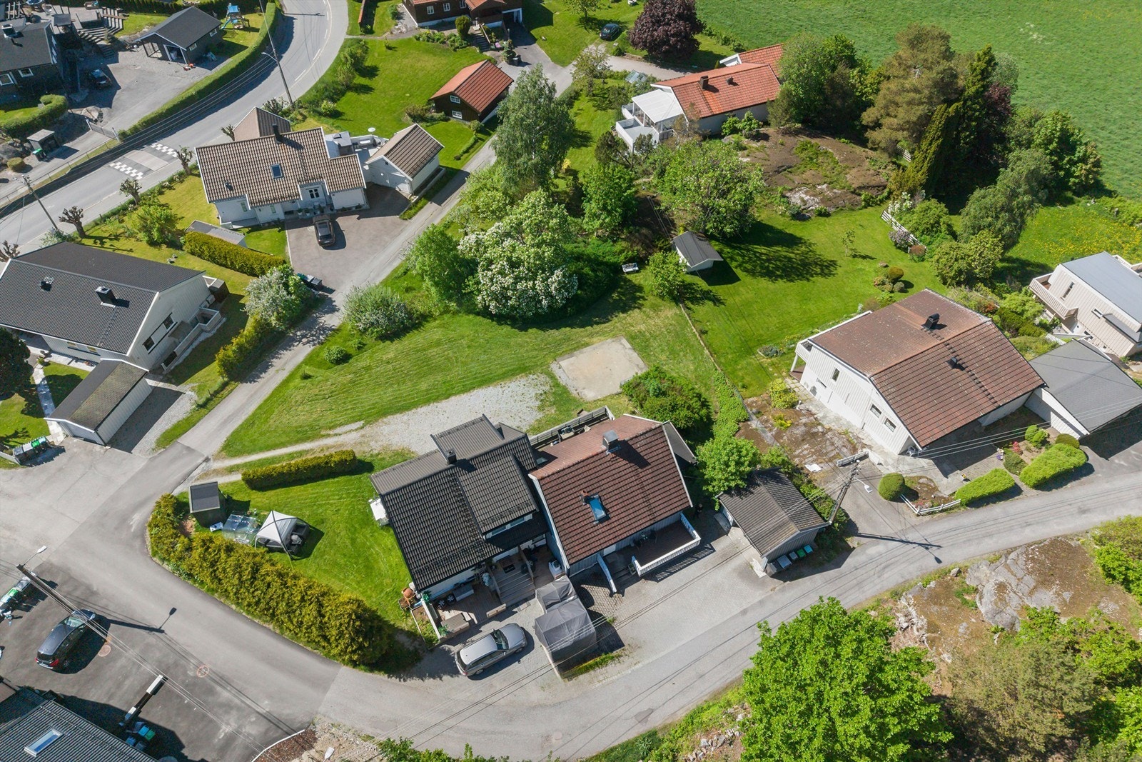 Stor og frodig hage Galleribilde