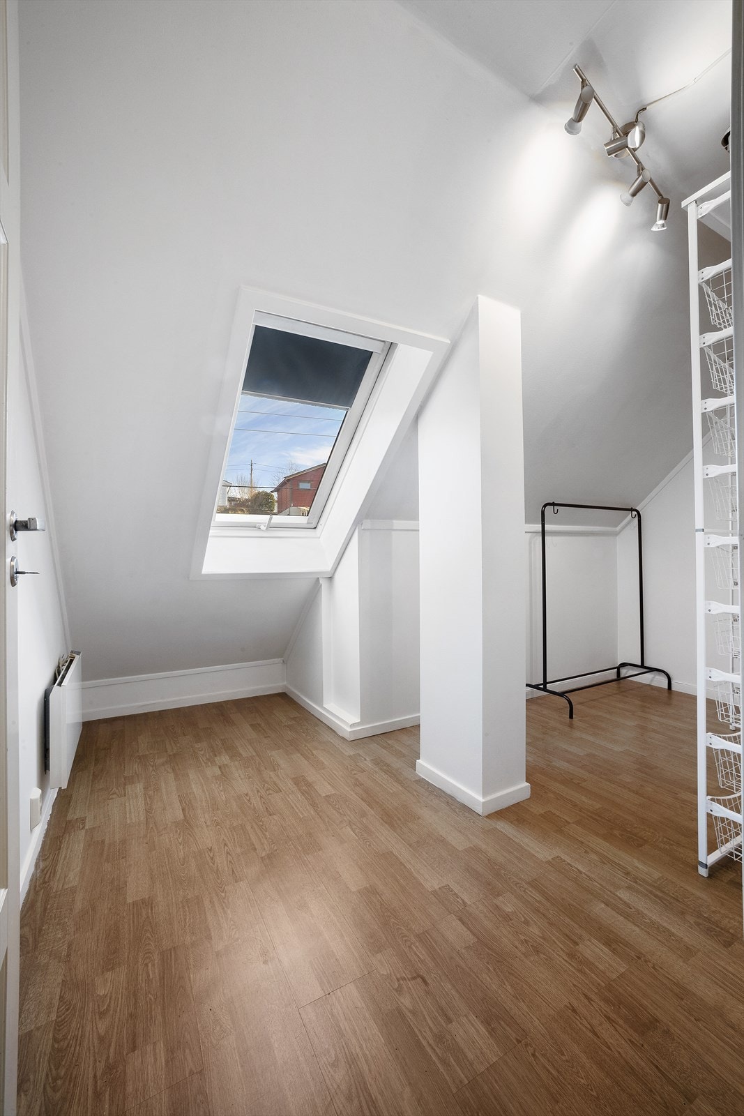 Kott Galleribilde