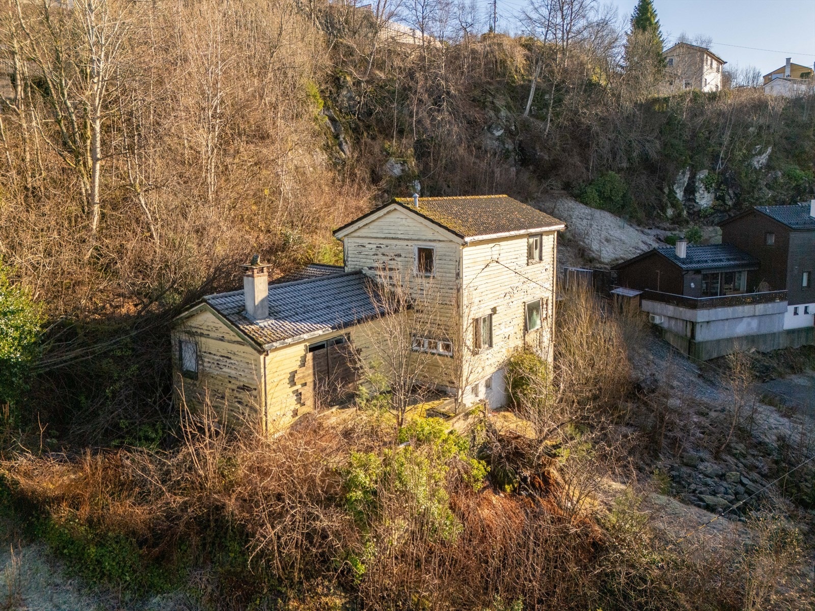 Annet Galleribilde