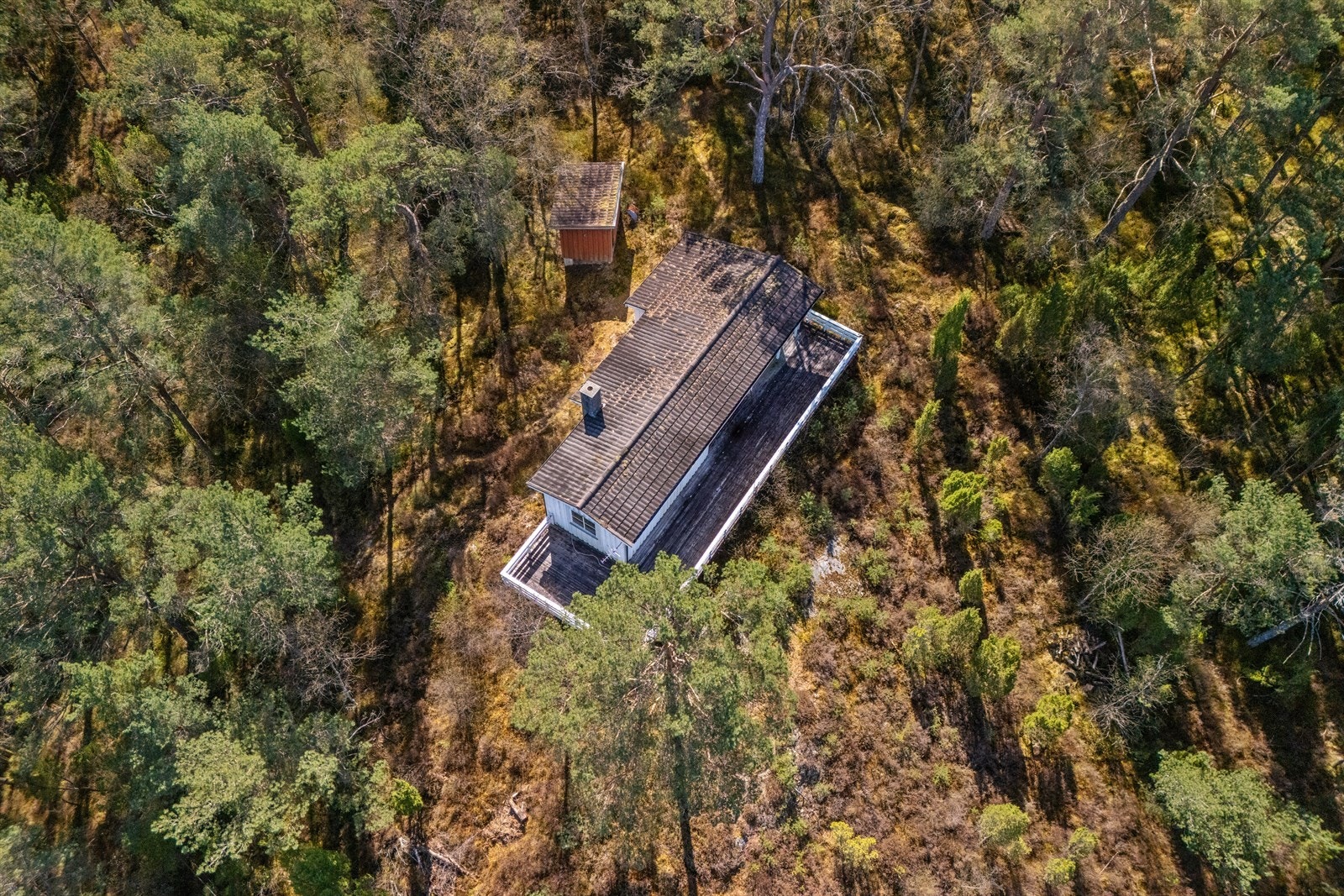Tomten består hovedsakelig av naturtomt og skog Galleribilde