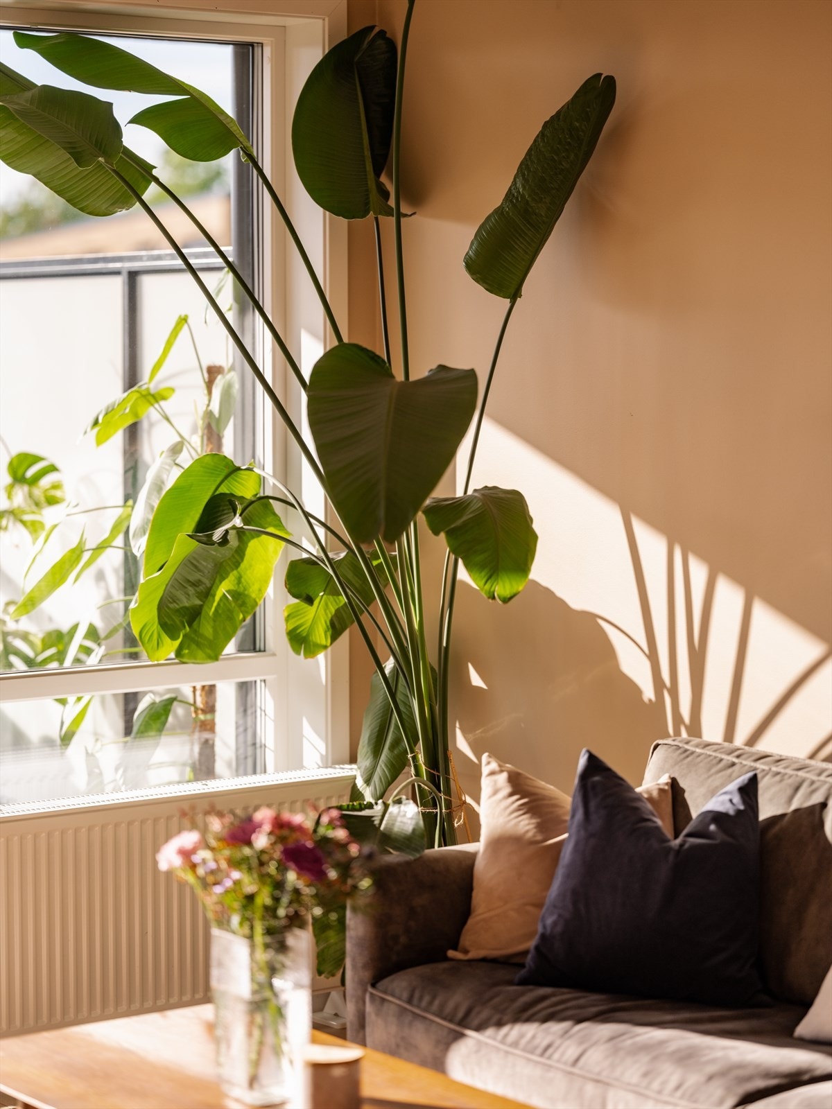 Boligen får godt med lys fra store vindusflater på to sider. Galleribilde