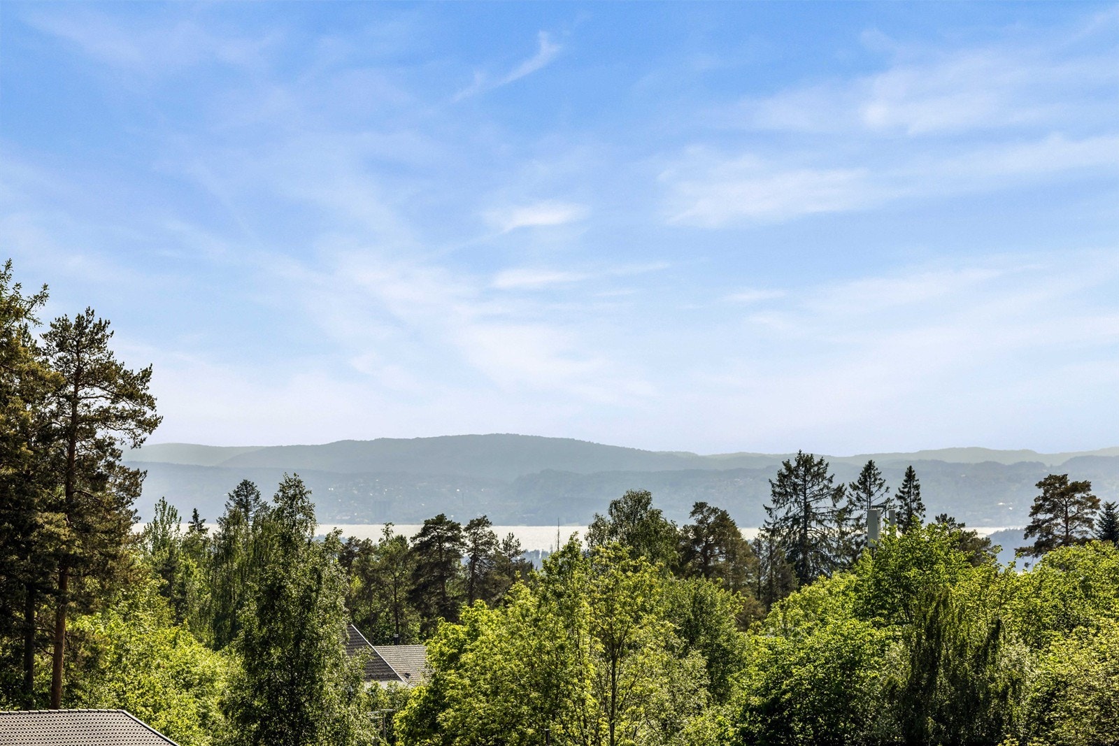 Fjordutsikt. Galleribilde