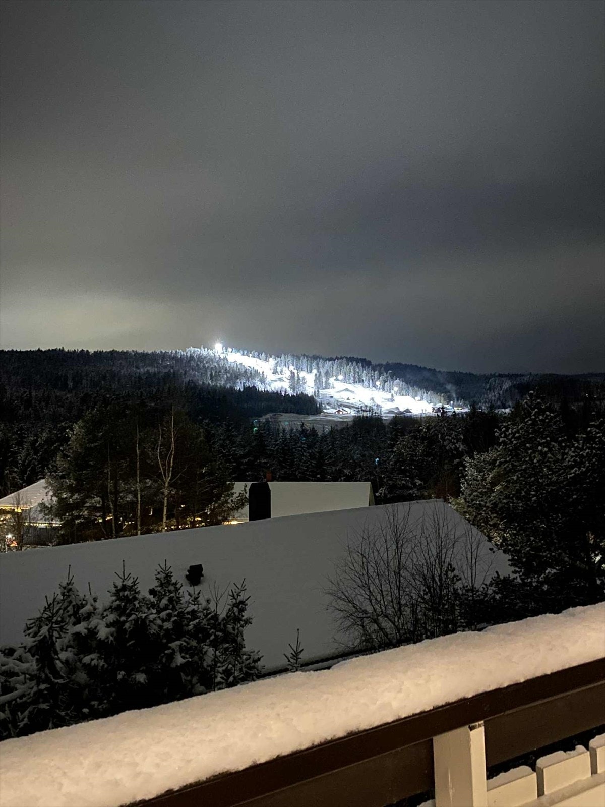 Selgers private bilde mot Middagsåsen Galleribilde