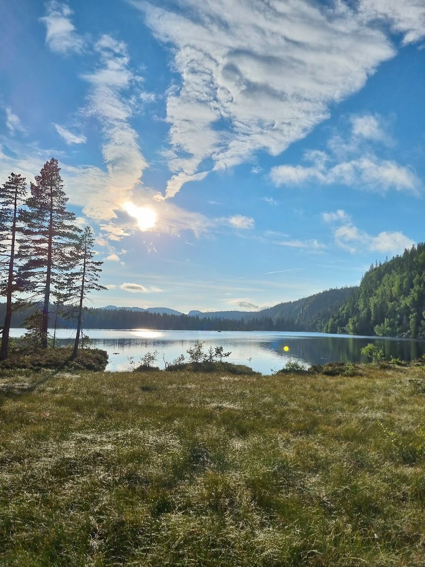 Selgers egne bilder; Fra Stølevann Galleribilde