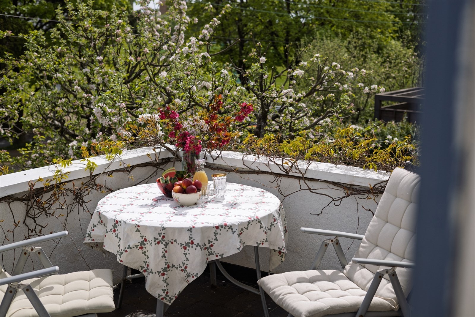 Gode solforhold på sommerstid. Galleribilde