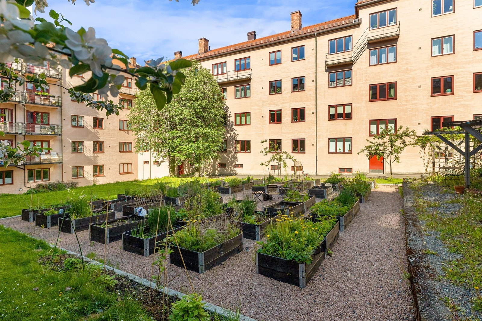Aksjelaget har også dyrkekasser tilgjengelig for beboerne. Galleribilde