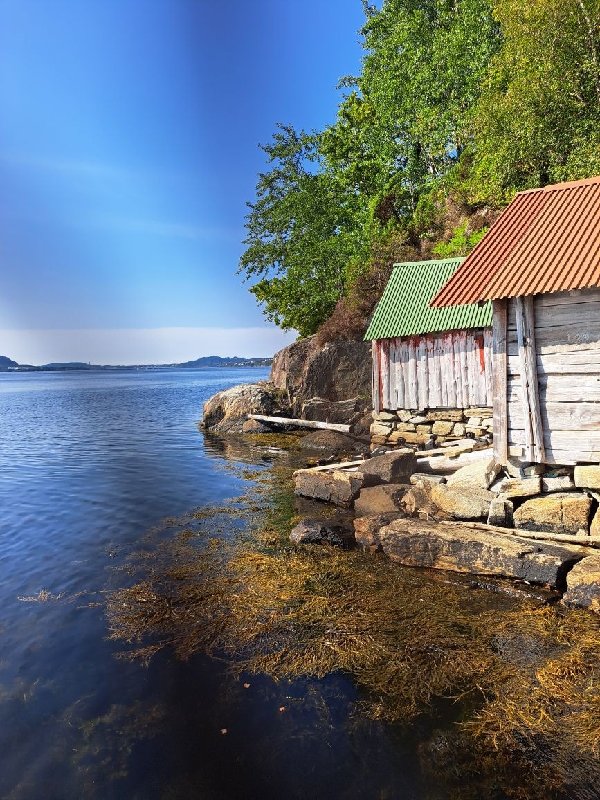 Velkommen på visning! Galleribilde
