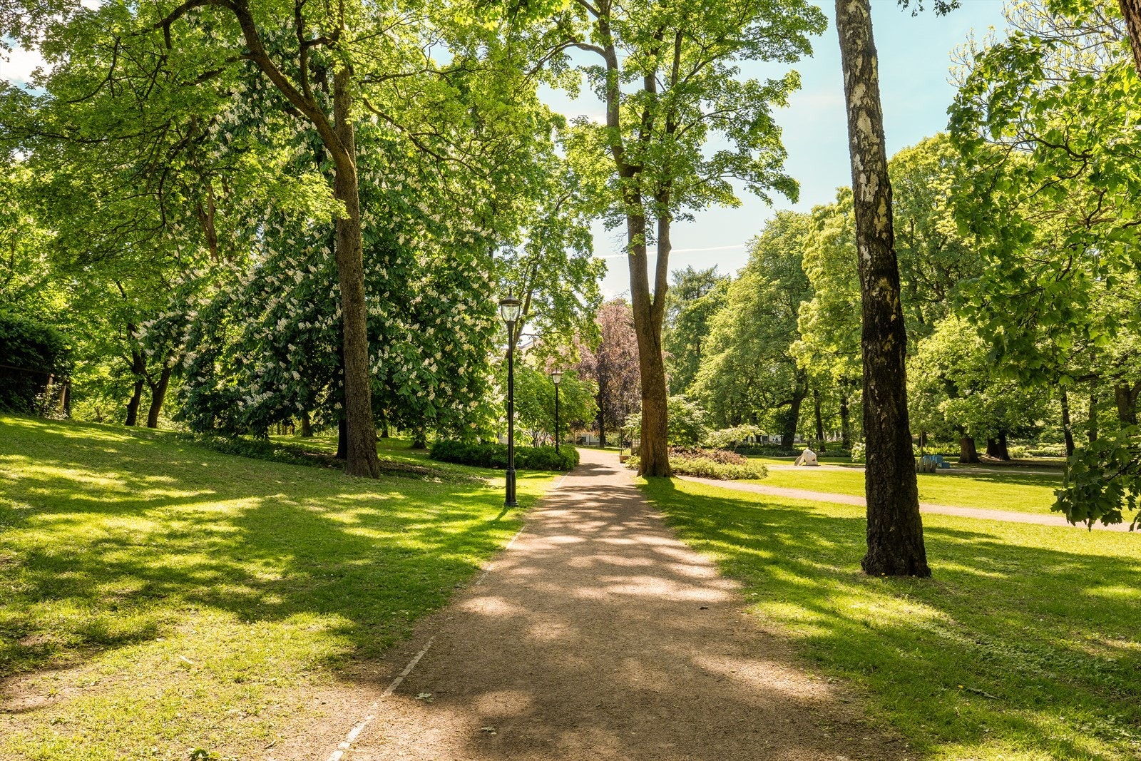 Slottsparken. Galleribilde