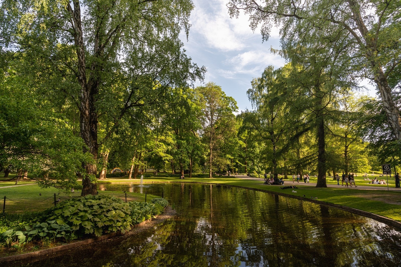 Slottsparken er i umiddelbar nærhet. En spasertur gjennom parken tar deg Nationaltheatret på kort tid. Galleribilde