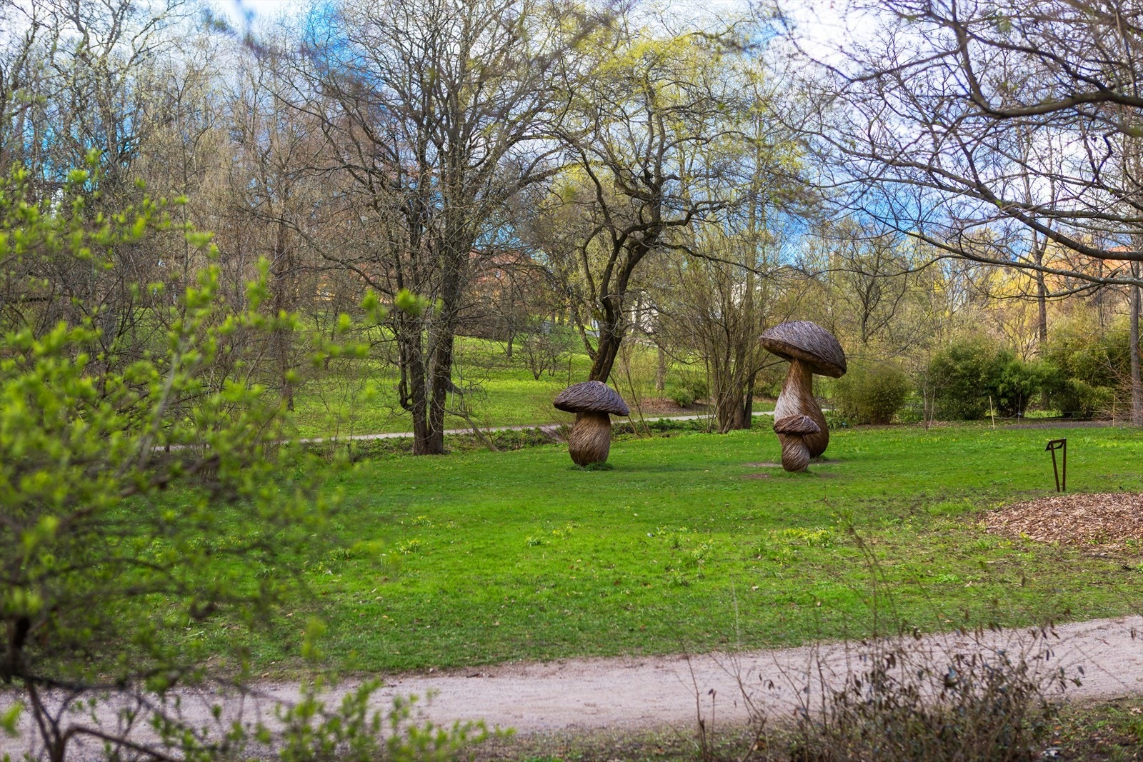 Kort vei til Botanisk Hage Galleribilde