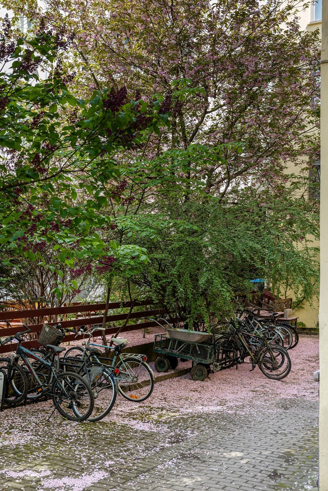 God plass til sykkelparkering i bakgården. Galleribilde