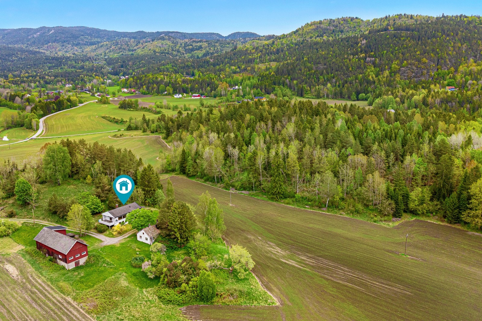 Skogen sees på øst for tunet, på motsatt side av det smale jordstykket Galleribilde
