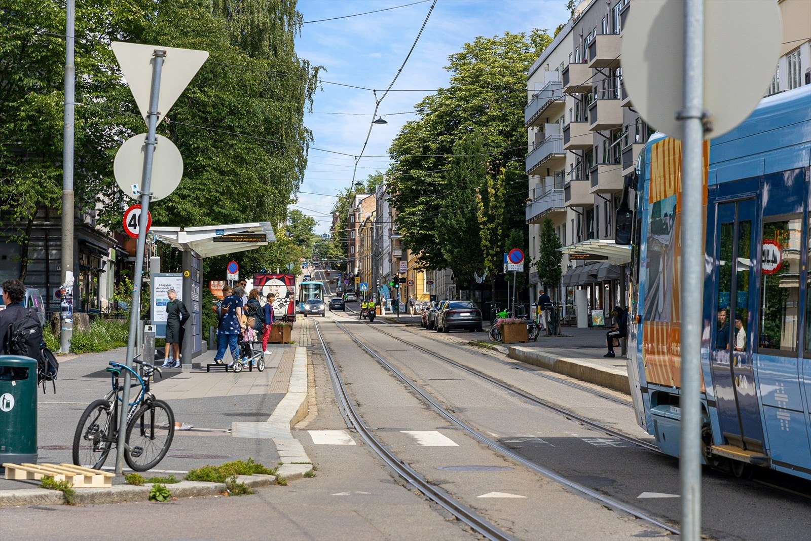 Områdebilde. Galleribilde