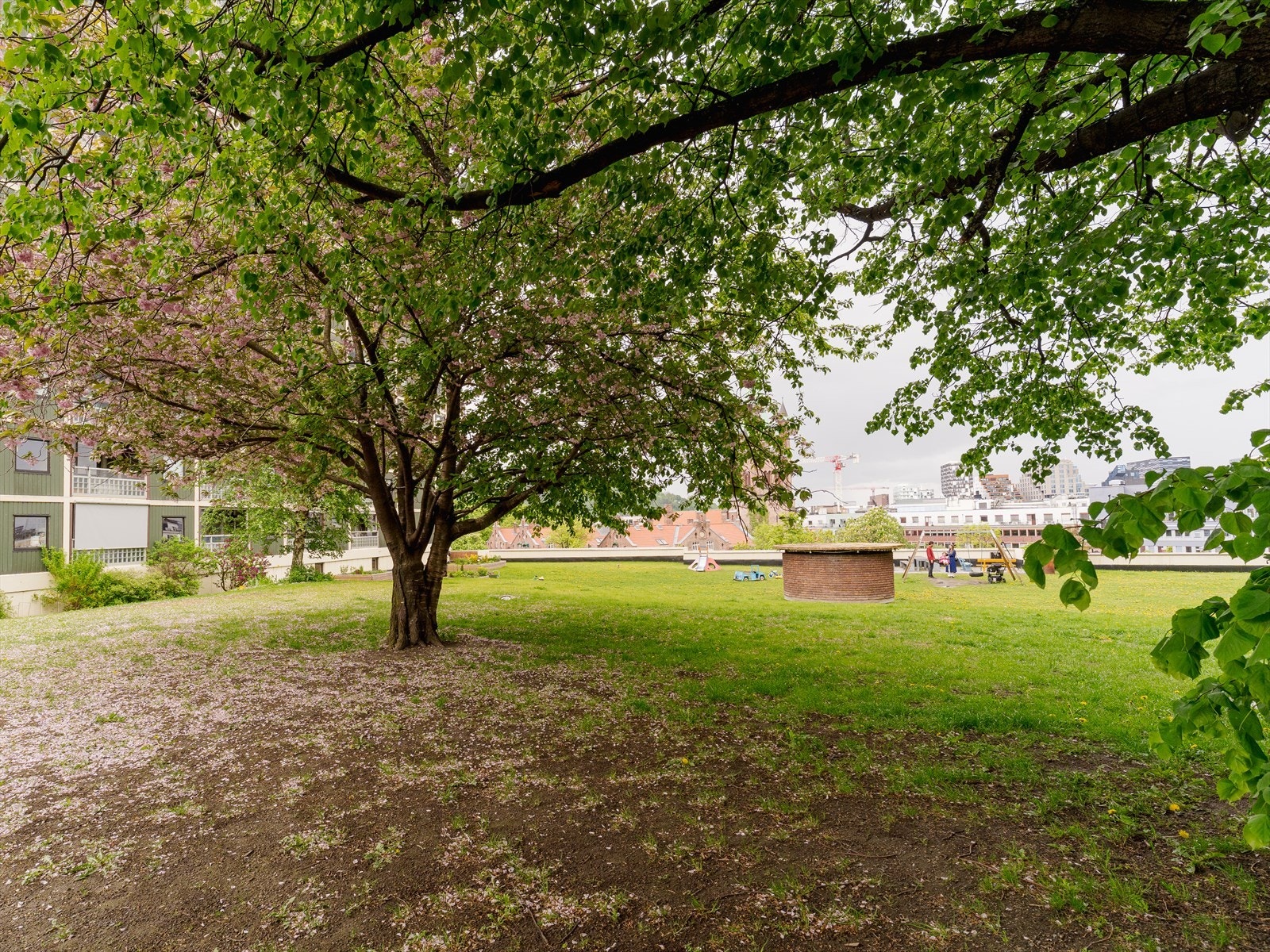 Borettslaget tilbyr utleie av parseller til dyrking av planter og grønnsaker. Borettslaget har til sammen 90 plasser til utleie og parsellene er samlet bak St. Hallvard Kirke og ved Smedgata 32. Galleribilde