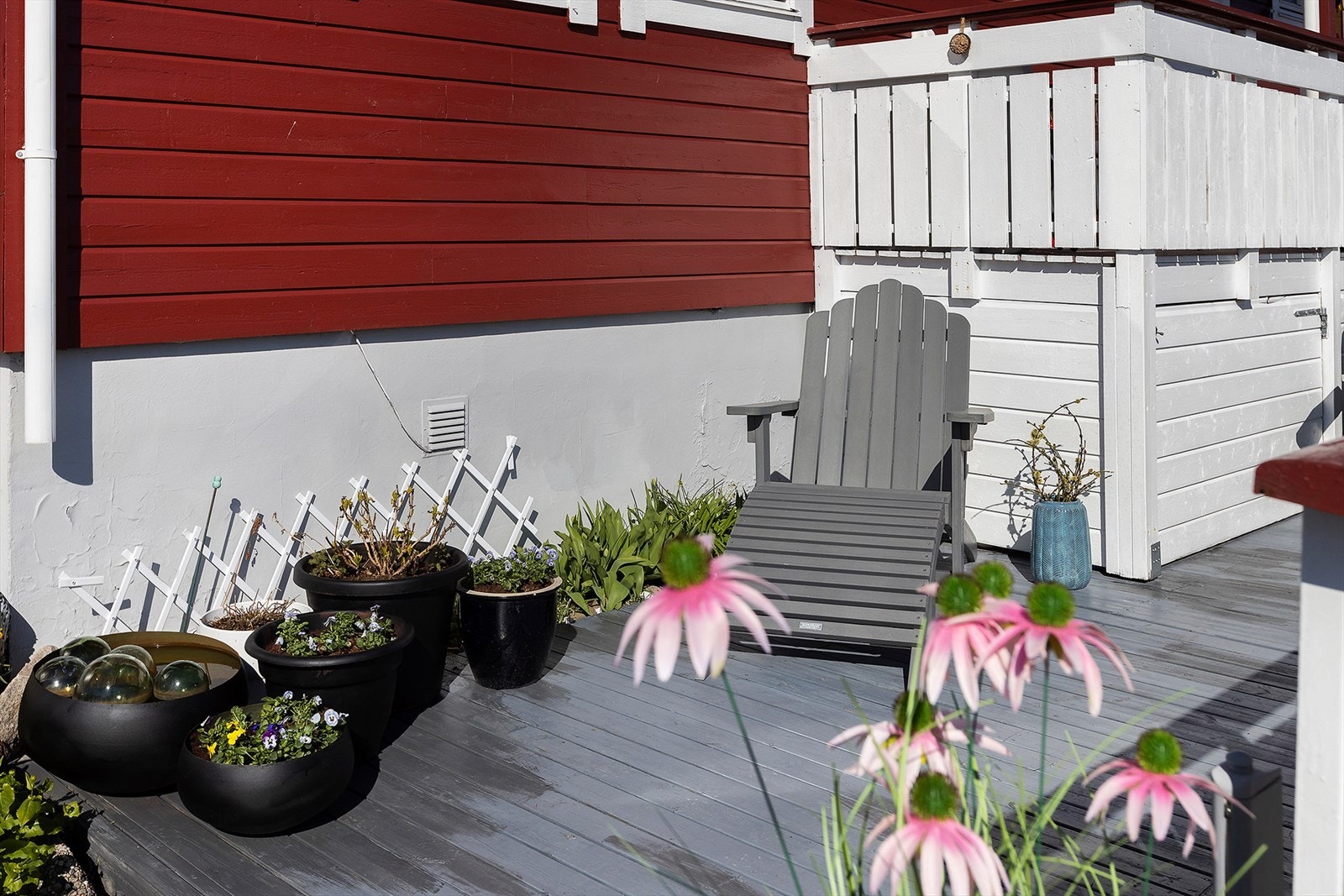Gode solforhold Galleribilde