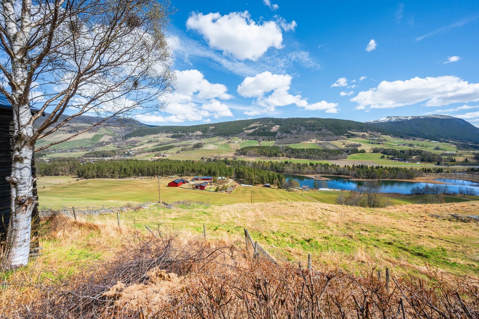 Flott utsikt over dalen og fjellene i Dovre. Galleribilde