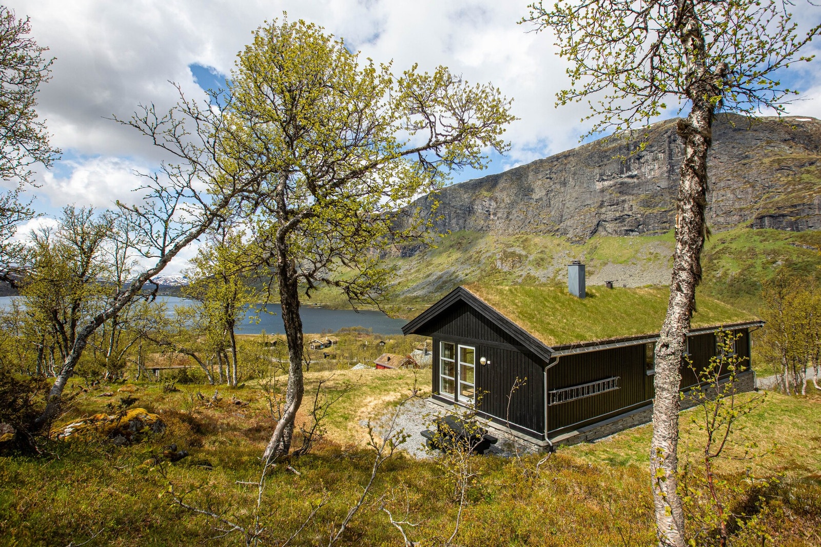 På vinterstid kan man benytte seg av de preparerte skiløypene i området. Tyin-Filefjell er kjent for sine flotte løyper i høyfjellet med utsikt mot Jotunheimen, men man finner også løyper i området ved filefjellstuene, der det også er lysløype Galleribilde