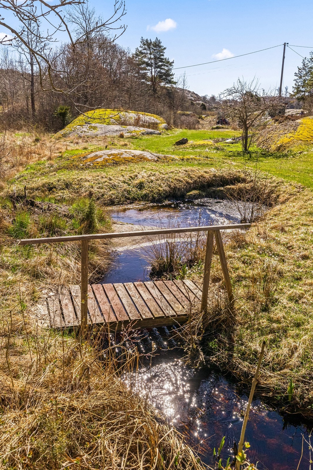 En liten bekk renner gjennom tomten og bidrar til den idylliske stemningen. Galleribilde