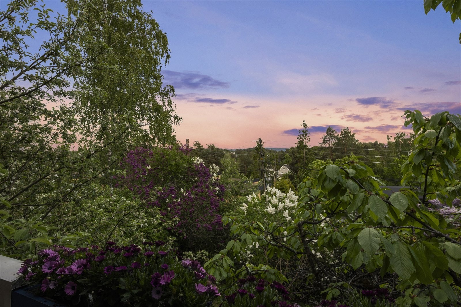 Eiendommen ligger i et veletablert og familievennlig villaområde på Mellom-Nes. Galleribilde
