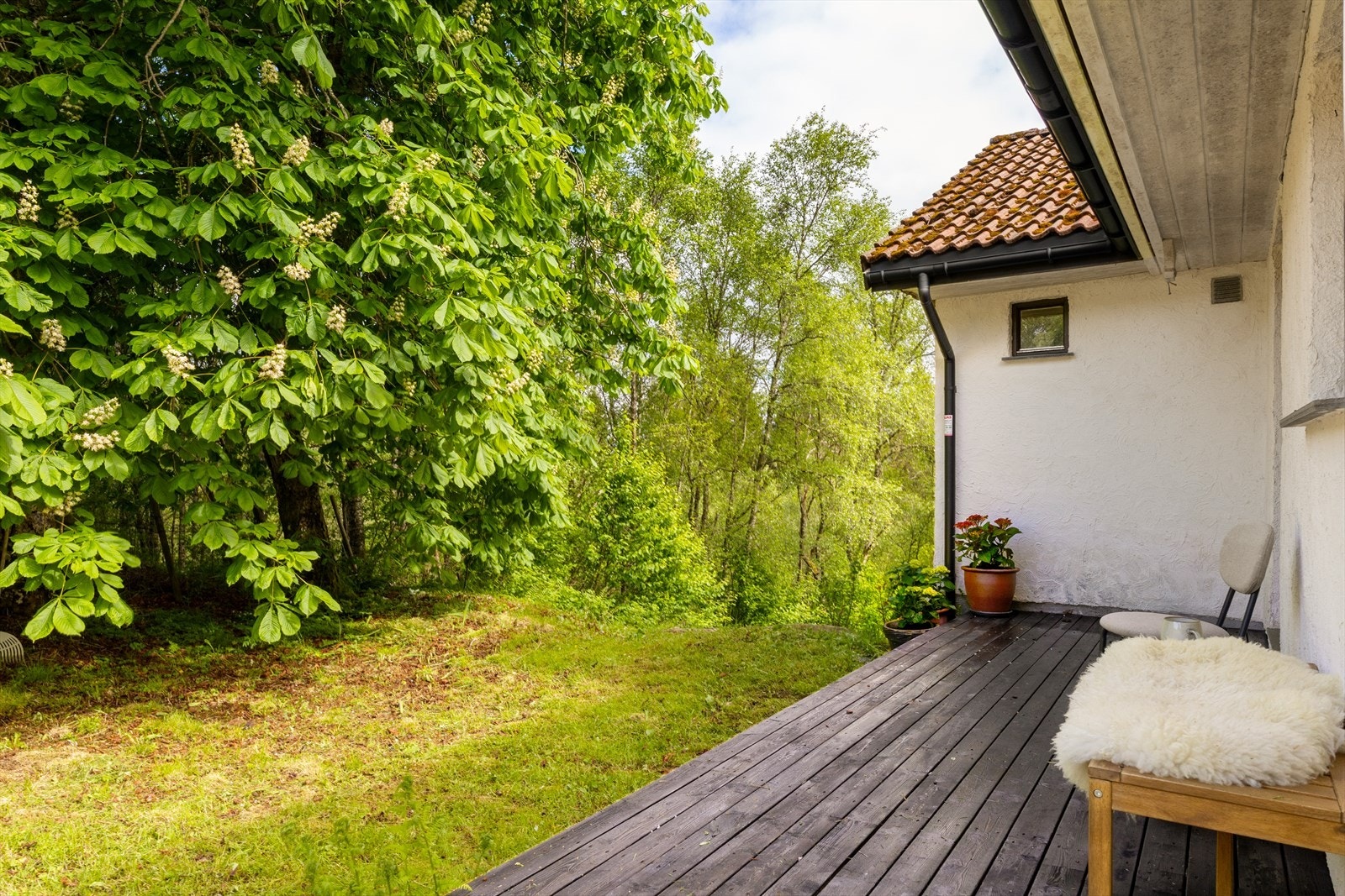 Inngangsparti. Galleribilde