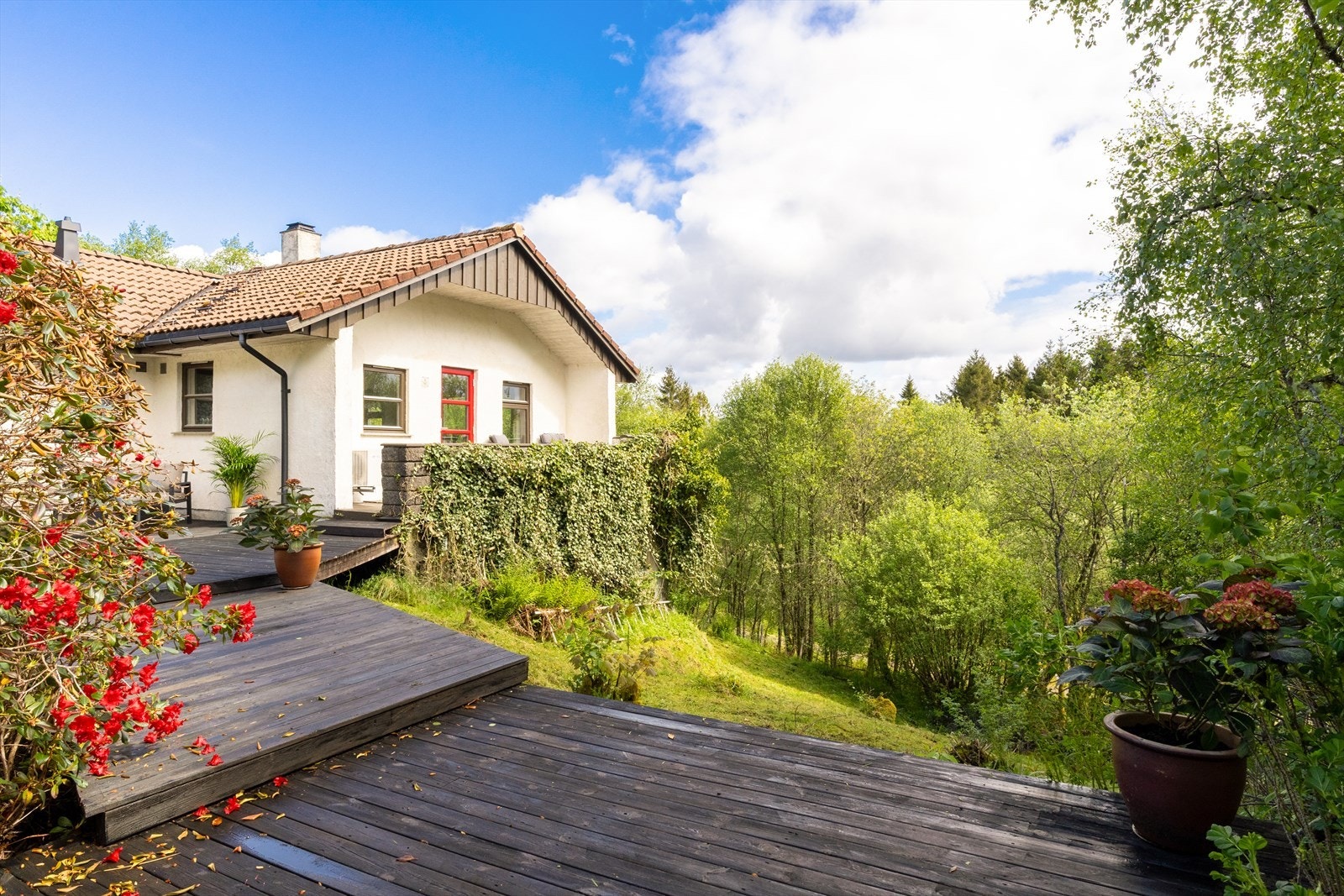 Her kan du nyte de naturskjønne omgivelsene. Galleribilde