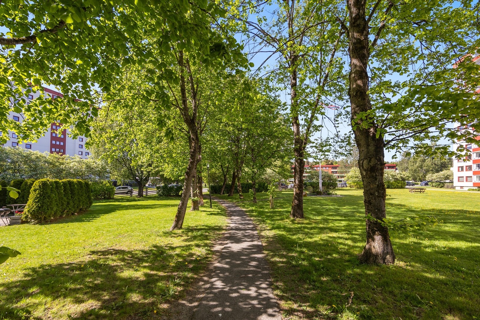 Borettslaget har store, velholdte fellesarealer med plen og sittegrupper. Galleribilde