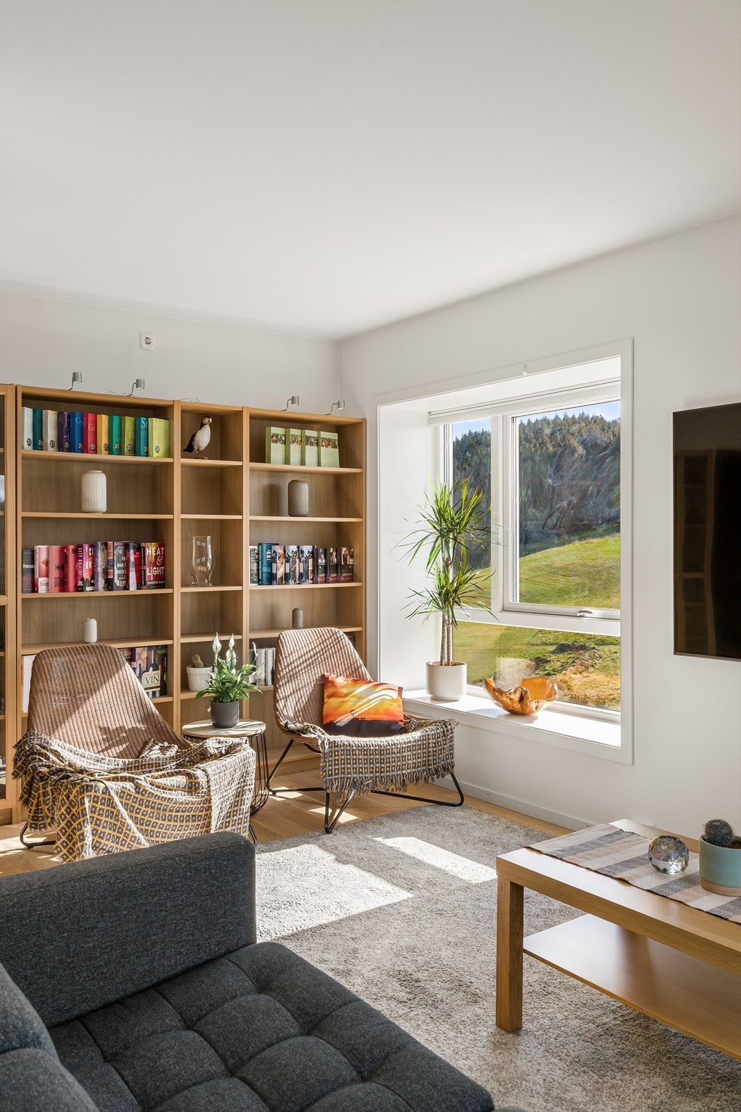 Store vindusflater med 3-lags glass gir godt med lys Galleribilde