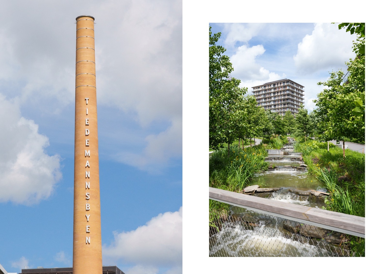 Tiedemannsparken er en park på Ensjø/Hasle. Den åpnet i november 2013 som en del av en stor omstilling av området fra næring til bolig ( Ensjøbyen ). Parken har navn etter tobakksfabrikken som lå like ved. Galleribilde