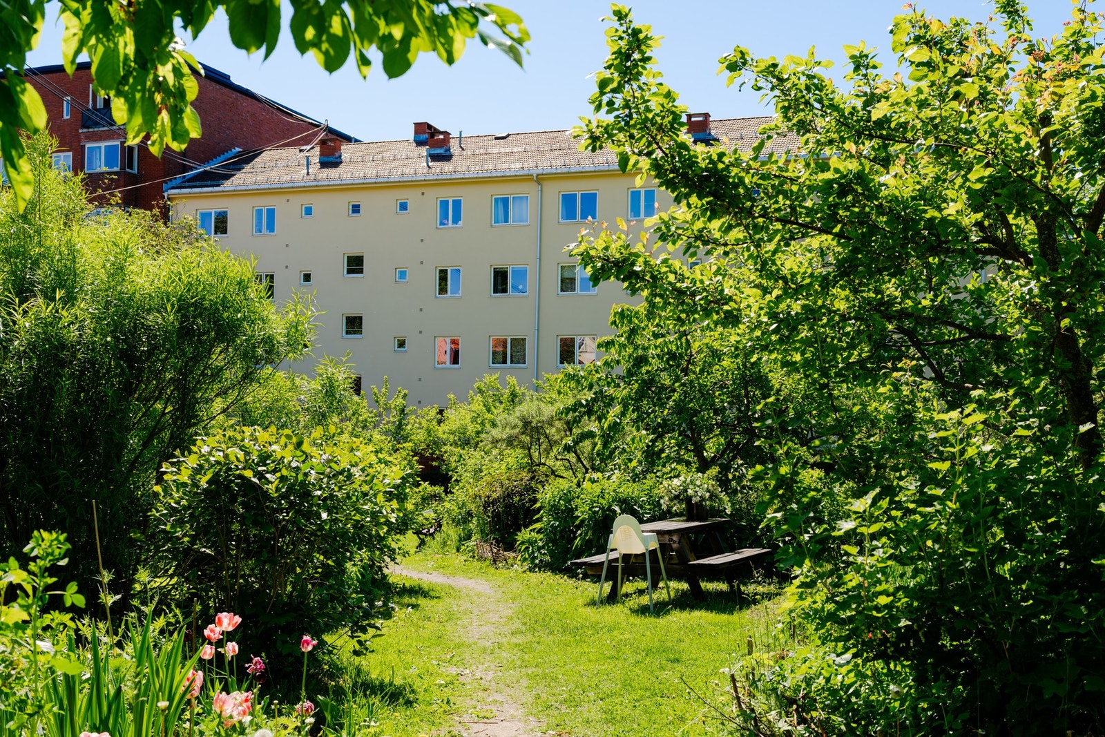 Aksjelaget har en flott opparbeidet felles bakgård til bruk for beboerme. Galleribilde