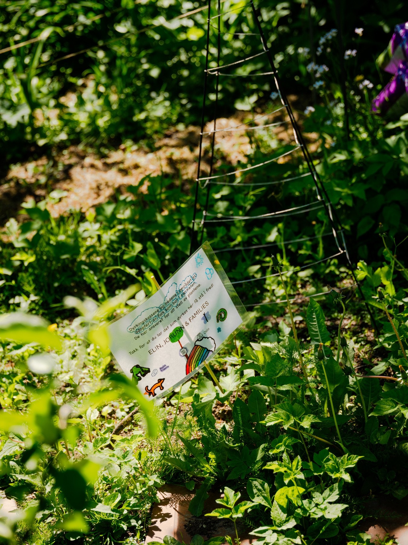 Bakgården er opparbeidet med blant annet sykkelparkering, blomsterkasser, plenarealer og en rekke sitteplasser i hyggelige omgivelser. Galleribilde