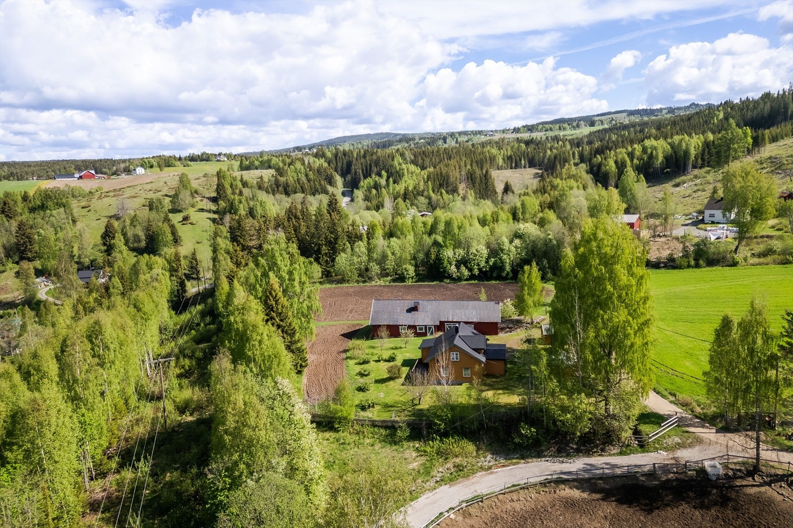 Velkommen til visning! Galleribilde