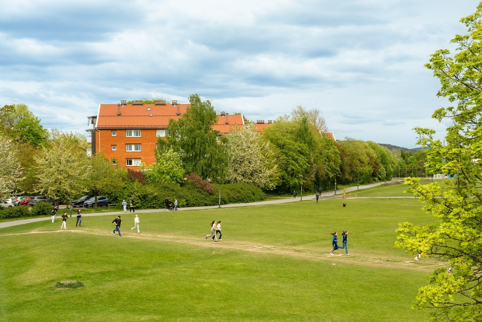 Dette området er aktivt brukt for mye trening med alle fotballbanene, joggetur og turområde for firbente venner. Galleribilde